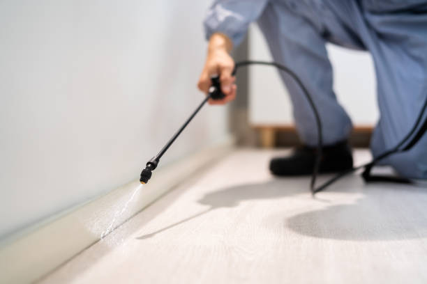 Bed Bug Pre-Treatment Preparation Assessment in Oberlin