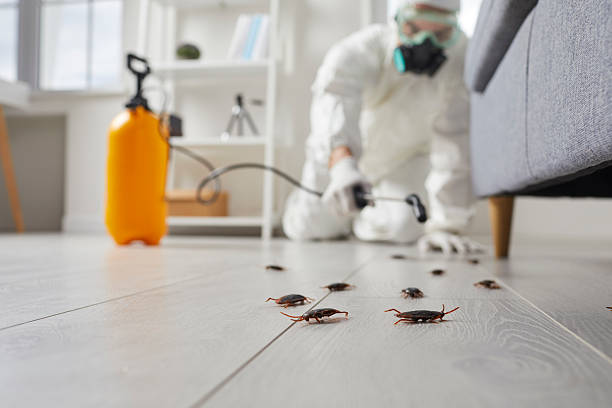 Post-Treatment Bed Bug Interceptor Monitoring in Oberlin
