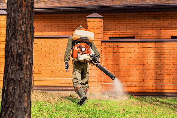 Bed Bug Clearance Verification and Documentation in Oberlin